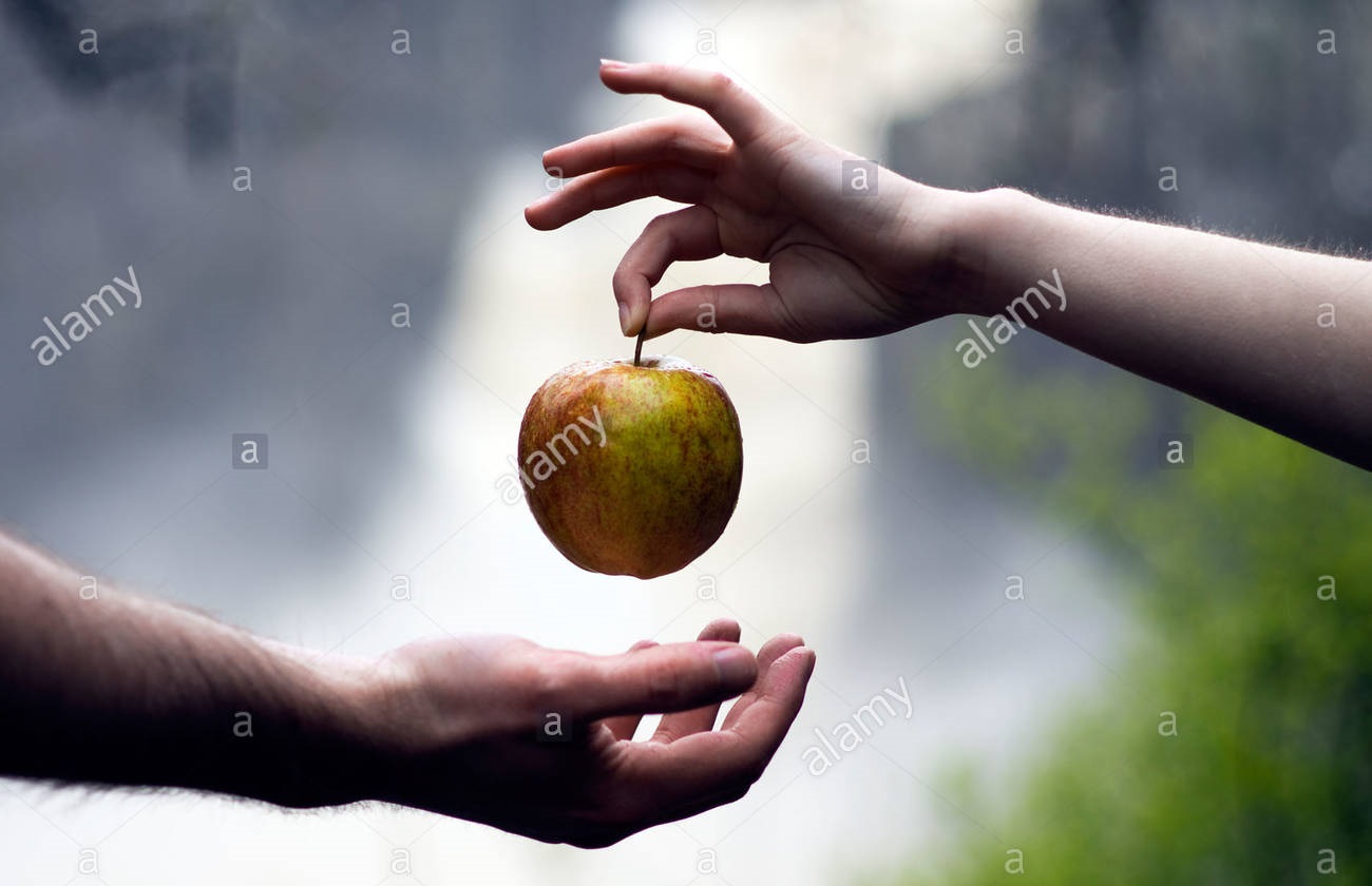 Яблоко Адама